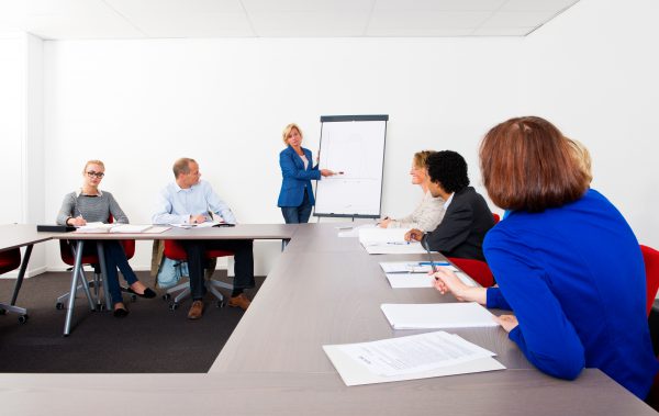 Plenary meeting of a small company, gathered in a meeting room around a flip over