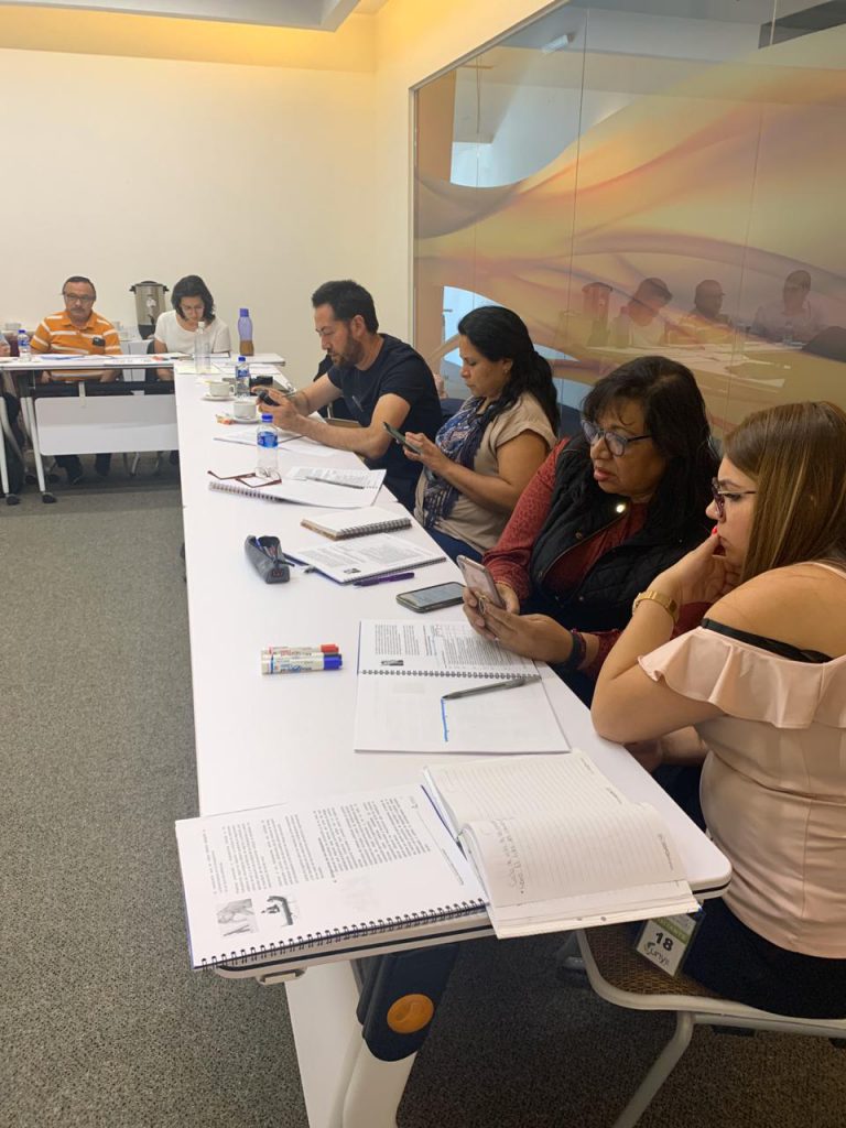 Capacitación de Consultores NOM 035